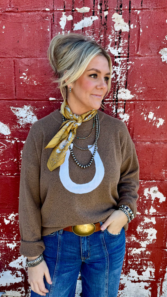 Lucky Horseshoe Sweater